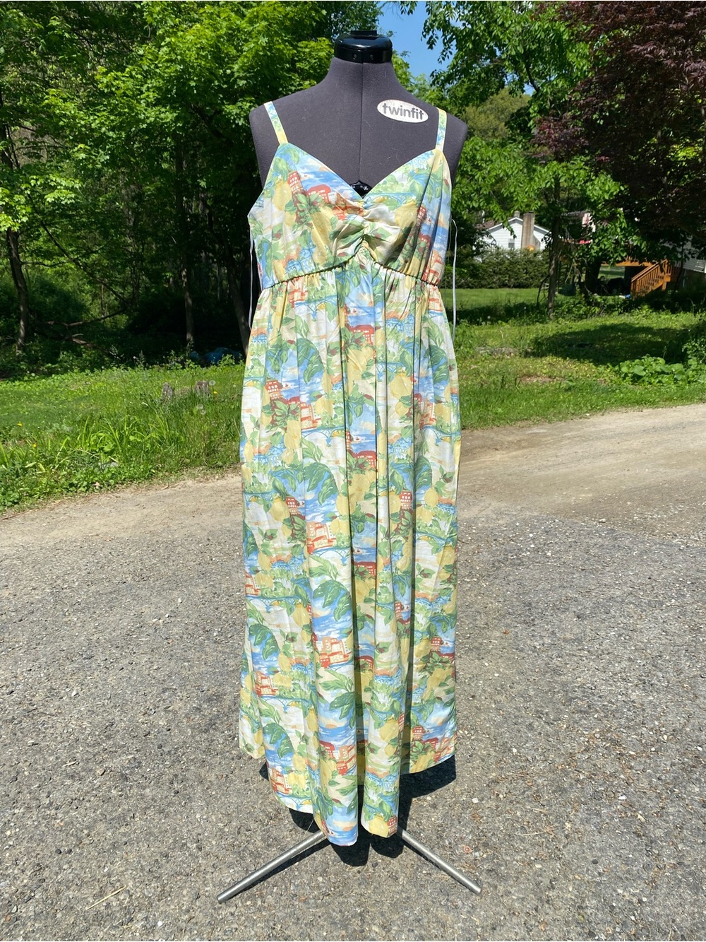 Abercrombie & Fitch Tropical Leaf & Sky Print Maxi Dress